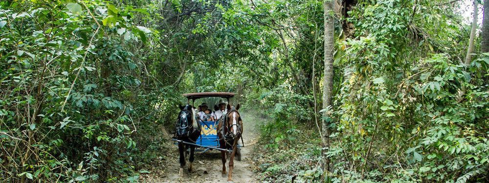Guembe Biocentro & Resort Santa Cruz de La Sierra Esterno foto
